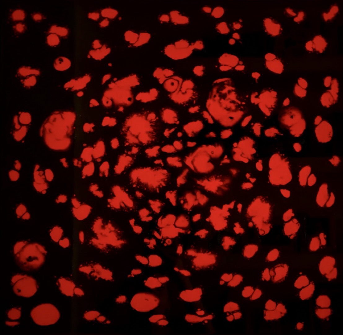 Esplosione — opera in resina, 60x60 cm