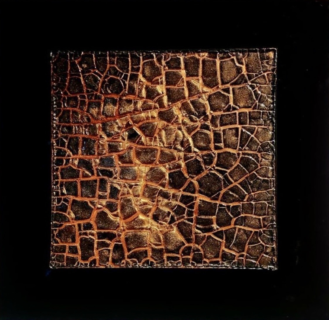 Pelle — opera in resina, 60x60 cm